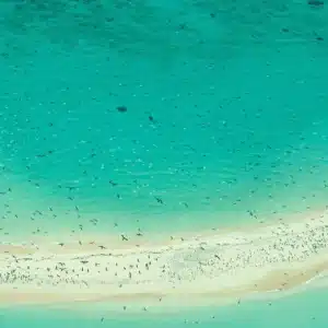 Michaelmasdaytripmap | atlantic princess